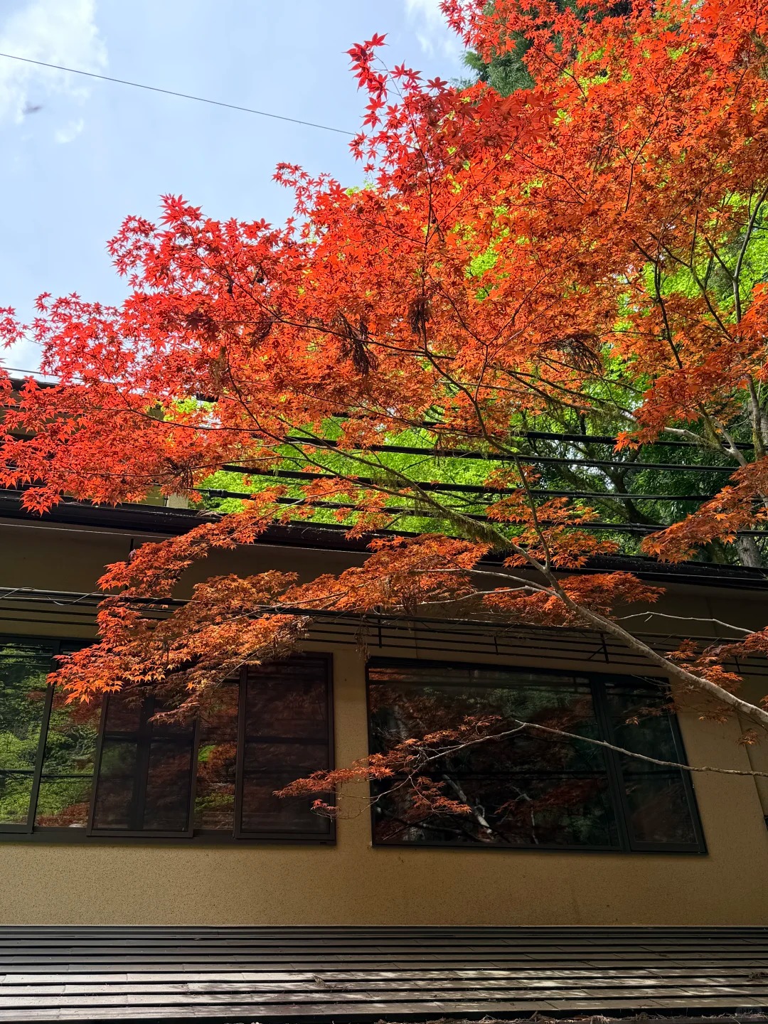 Early autumn color in Japan