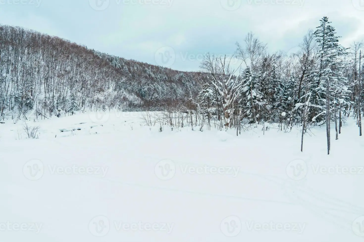 Blue Pond in Biei, Hokkaido, frozen under fresh winter snow in December