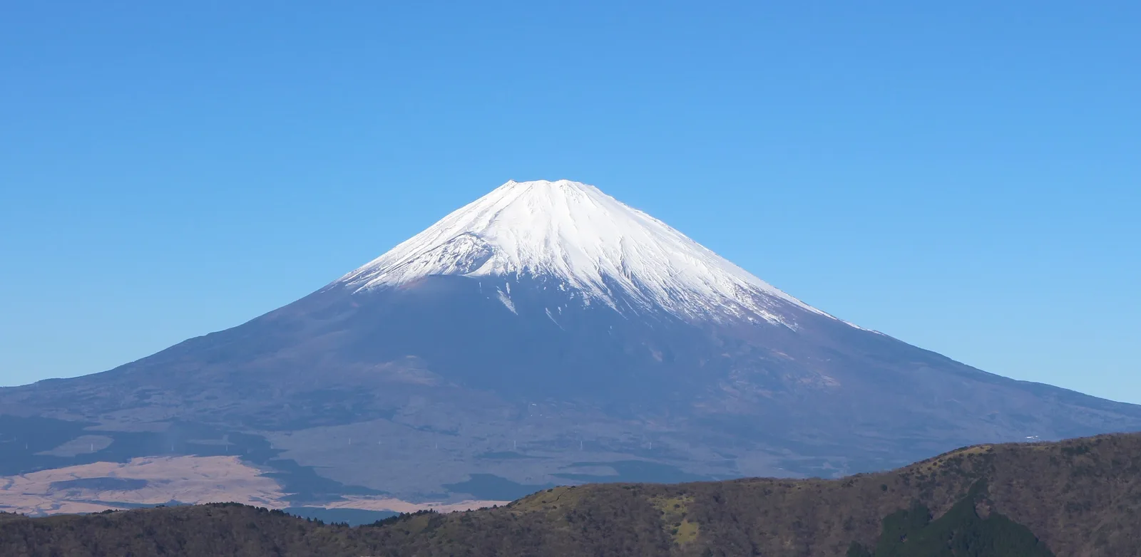 Mount Fuji with cherry blossoms in the foreground at sunrise